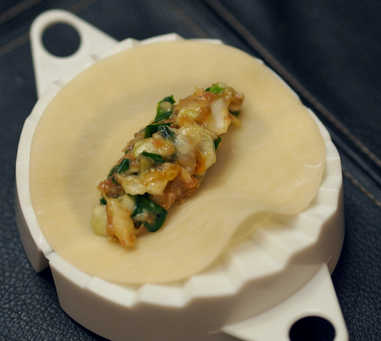 Moule à gyoza 15.5cm X 10cm